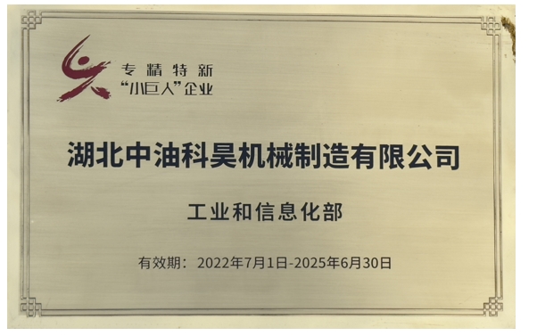 國家級專精特新“小巨人”企業(yè)