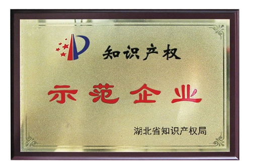 湖北省知識產(chǎn)權(quán)示范企業(yè)
